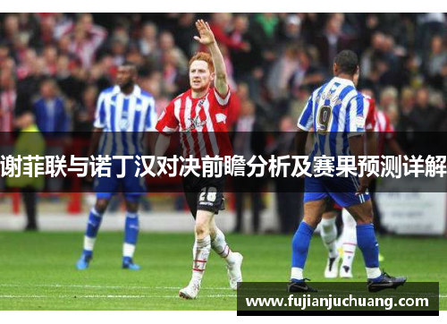 谢菲联与诺丁汉对决前瞻分析及赛果预测详解