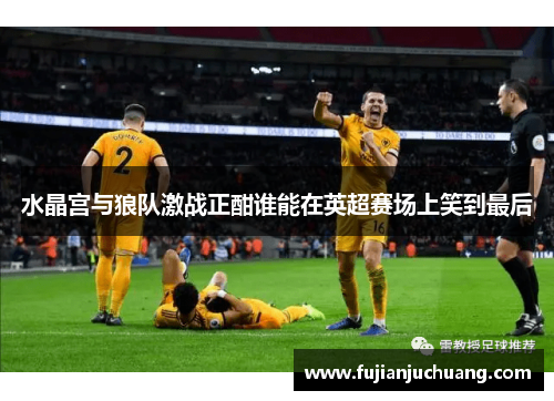 水晶宫与狼队激战正酣谁能在英超赛场上笑到最后